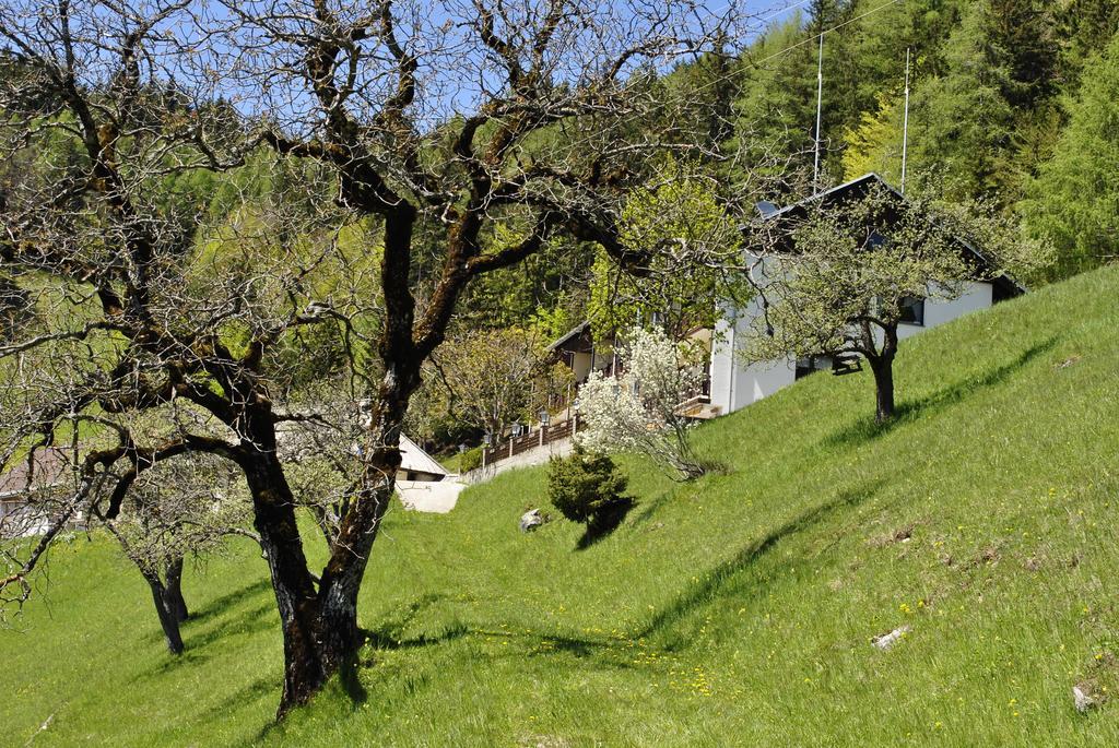 Bed&Breakfast Lausegger Ferlach Luaran gambar
